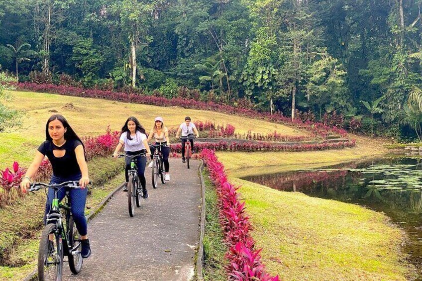 Tours un Dia en la Selva | Amazon Rainforest Tours Full Day