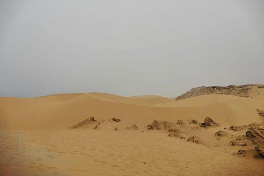 Sandboarding (Sandboarding) with Lunch in Agadir