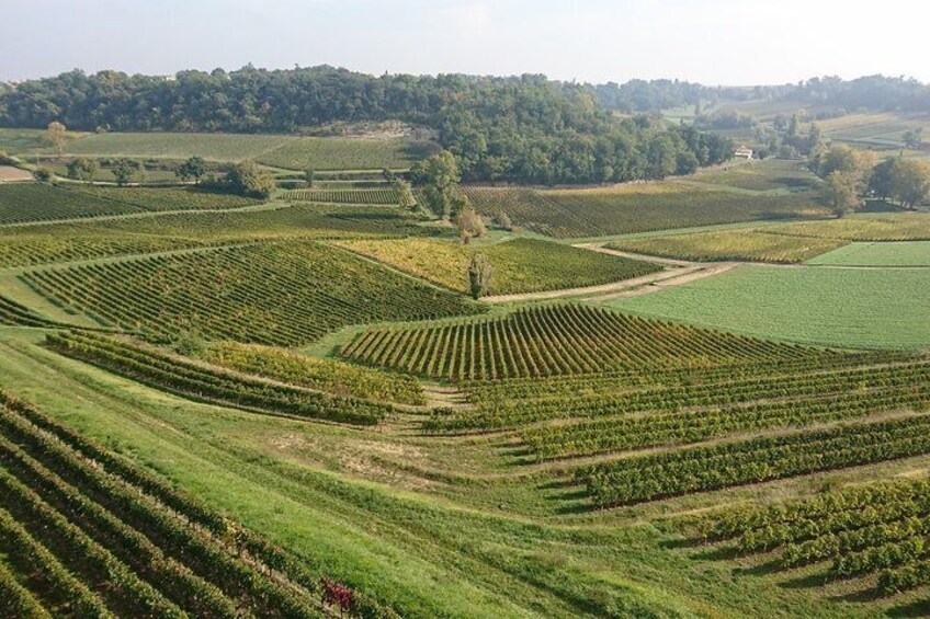 Full-day wine tour in Saint-Emilion (Premium Sedan)