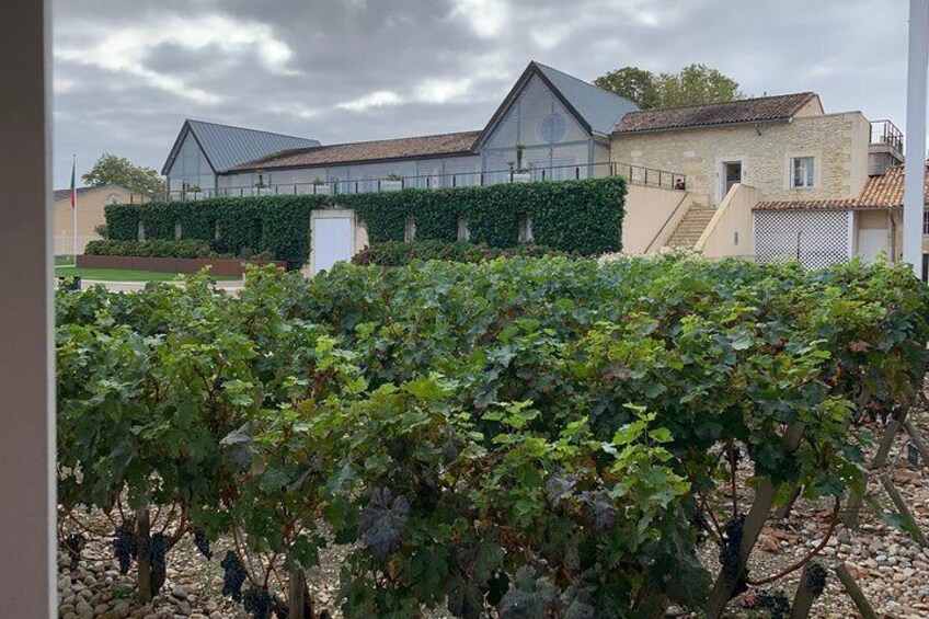 On the Medoc Castle Route on a full day private tour (Premium Sedan)