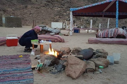 Camel ride & dinner with the Bedouin & star gazing in Sharm el Sheikh