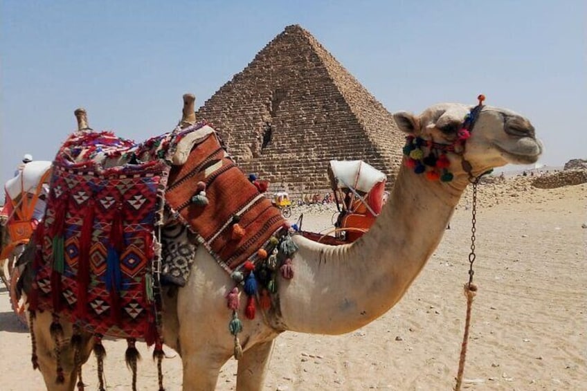 Day trip from Sharm el Sheikh to Cairo by plane