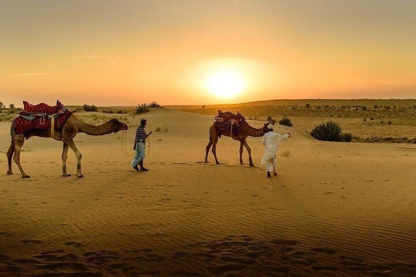 Desert Agafay & Atlas Mountains, Valleys & Waterfalls Tour from Marrakech