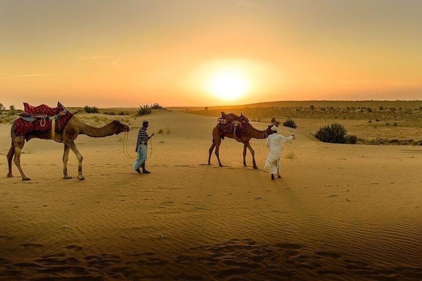 Desert Agafay & Atlas Mountains, Valleys & Waterfalls Tour from Marrakech