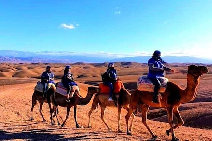 Excursión al desierto de Agafay y las montañas del Atlas, los valles y las ...