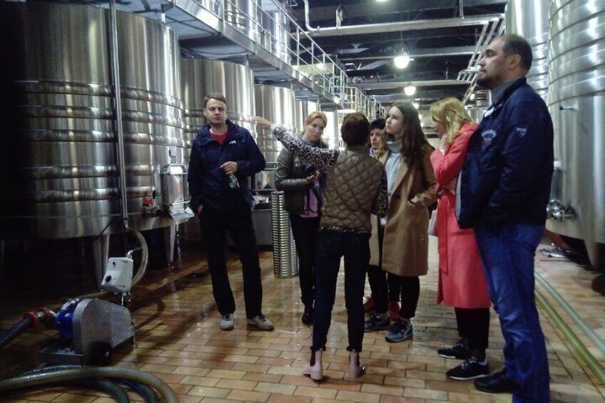 explanation of the fermentation in the vat room
