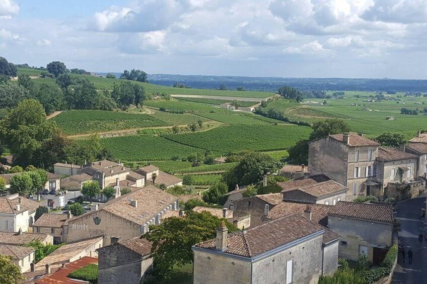 amazing view on the vineyards from the city