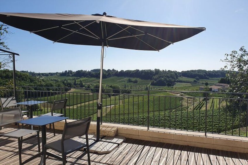 Morning in Saint-Emilion with visit to the castle and wine tasting