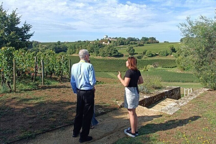 Private tour in Saint-Emilion, médiéval village and wine tasting