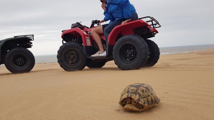 Essaouira: Pleasant Quad tour