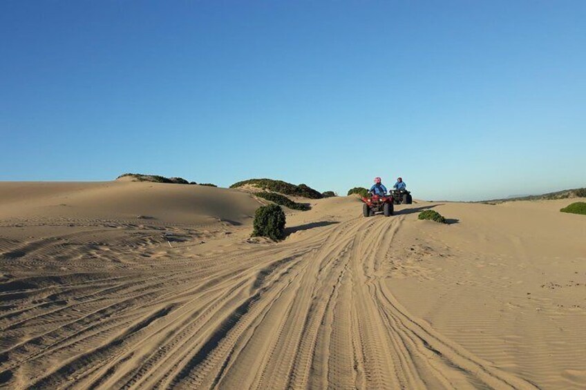 Essaouira: Quad 2-hour ride