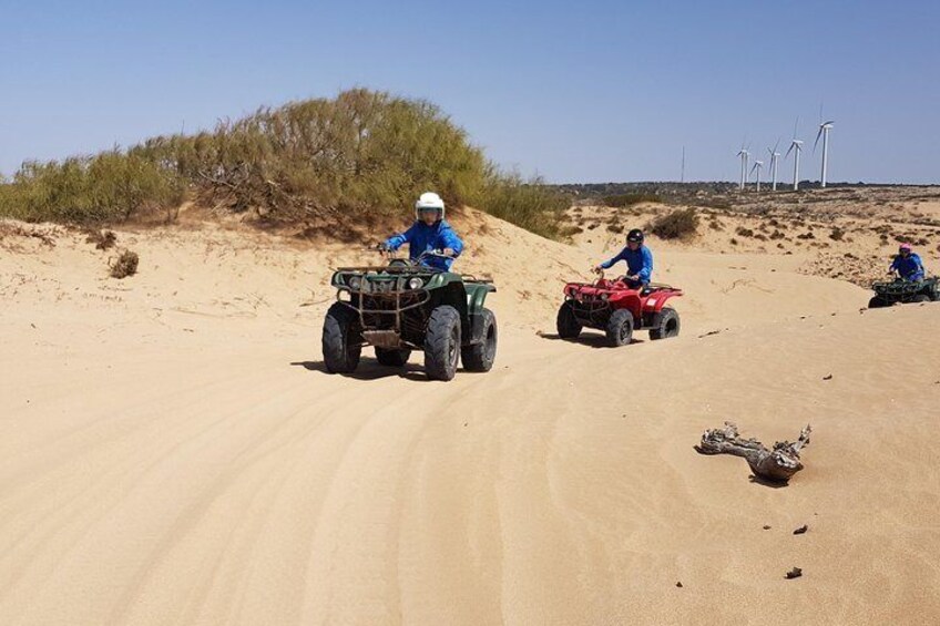 Essaouira: Quad 2-hour ride