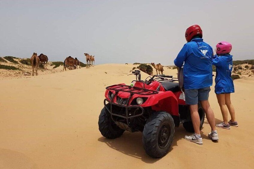 Essaouira: 2H Quad + 2H Camel ride (Min 2 pax))