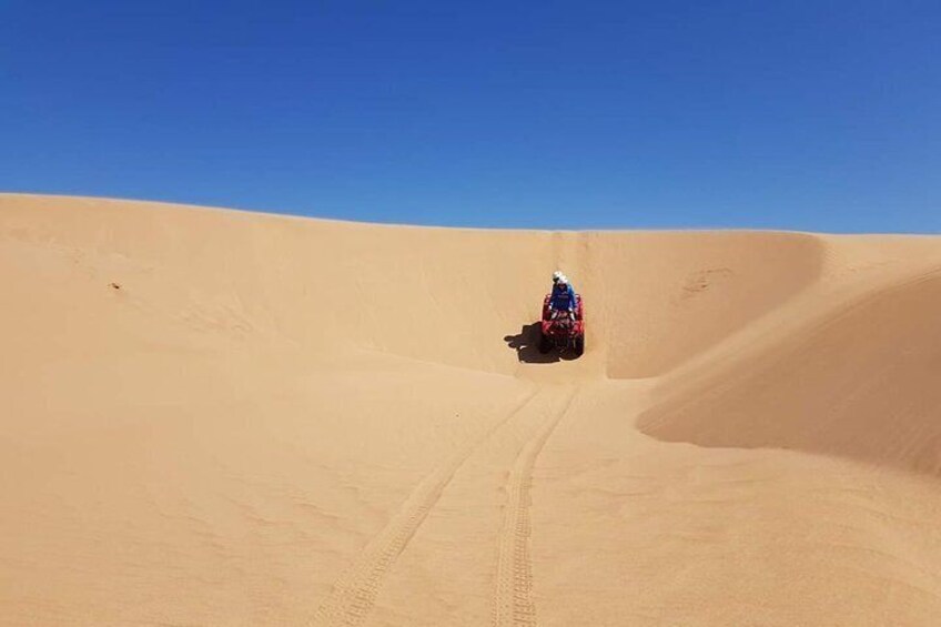 Essaouira / 2H in Quad + 2H Dromedary ride