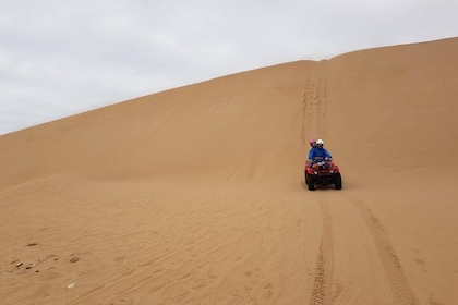 Quad day with meal: Sidi Kaouki 6 hours (free transfer)