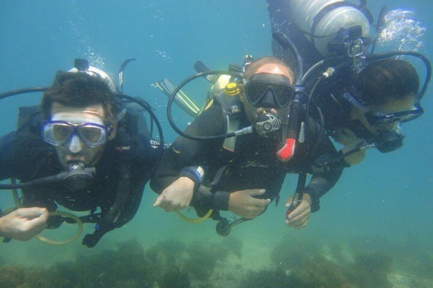 Diving in Buzios with p & p