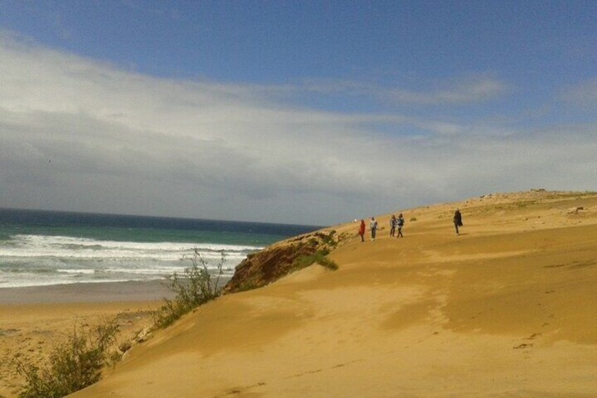 Walk to the cascade and marabout of Sidi Mbark & for a tea to Kaouki.