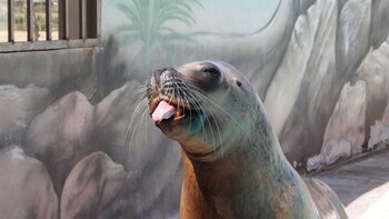 Mediterraneo Marine Park Admission