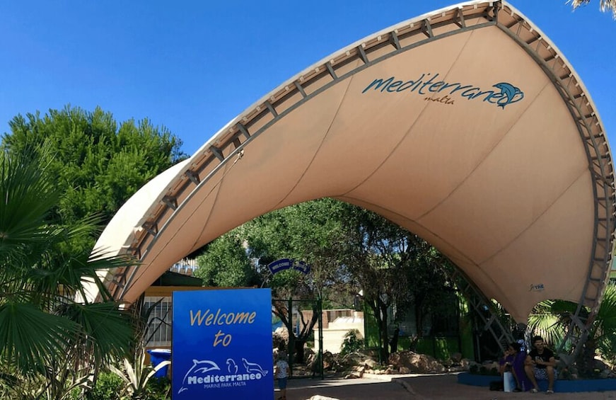 Swimming with Dolphins at Malta Marine Park