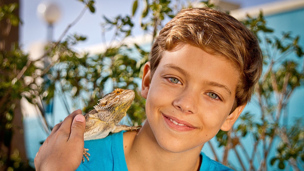 Young boy with iguana on his shoulder at Marine Park in Malta