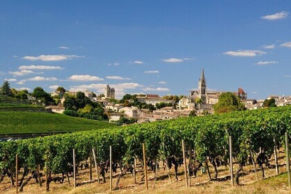 Bordeaux Wine Day Tour Saint Emilion