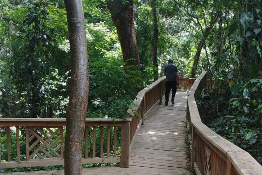 Copan Bird Park