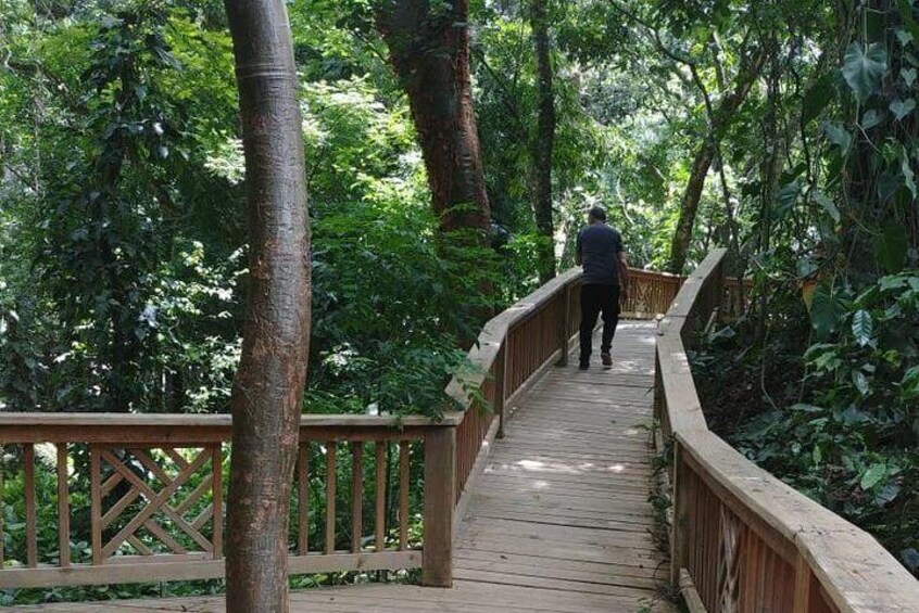 Copan Bird Park