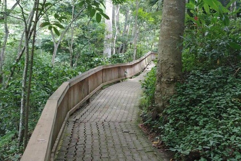 Copan Bird Park