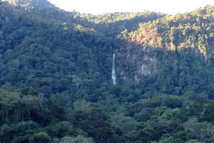 Pico Bonito Nature Reserve