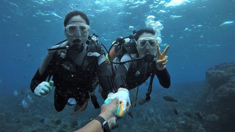 Blue cave experience diving! 【Okinawa Prefecture】 Feeding & photo images free! English, Chinese, Korean guide available! 1 group with a dedicated instructor