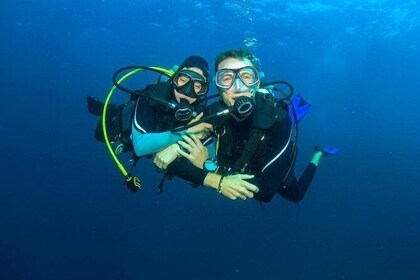 Scuba Diving in Aegean Sea in Kusadasi