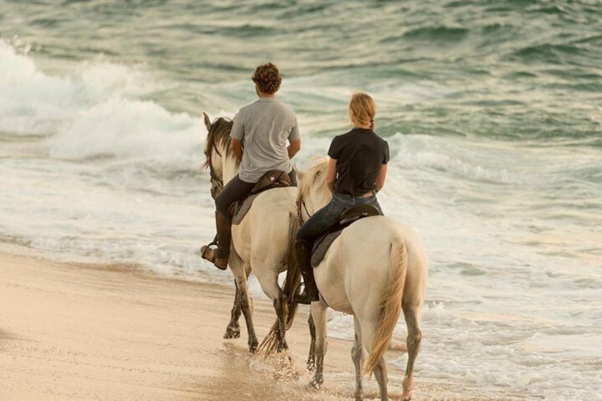 Horse Riding on the Beach