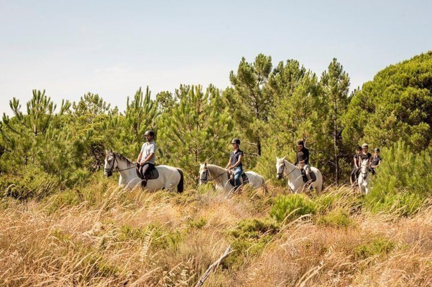 Horse Riding on the Beach