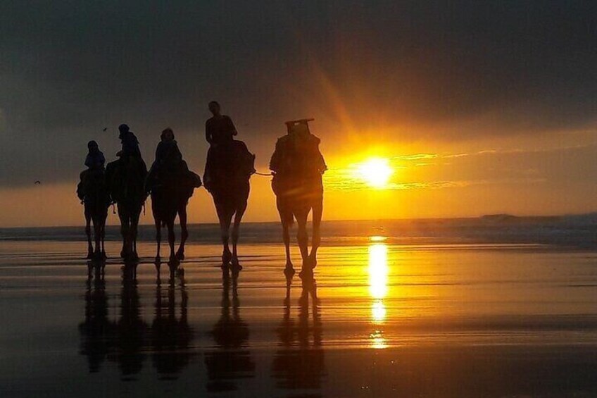  Excursion / 1H in Quad + 1H Camel ride on Essaouira beach