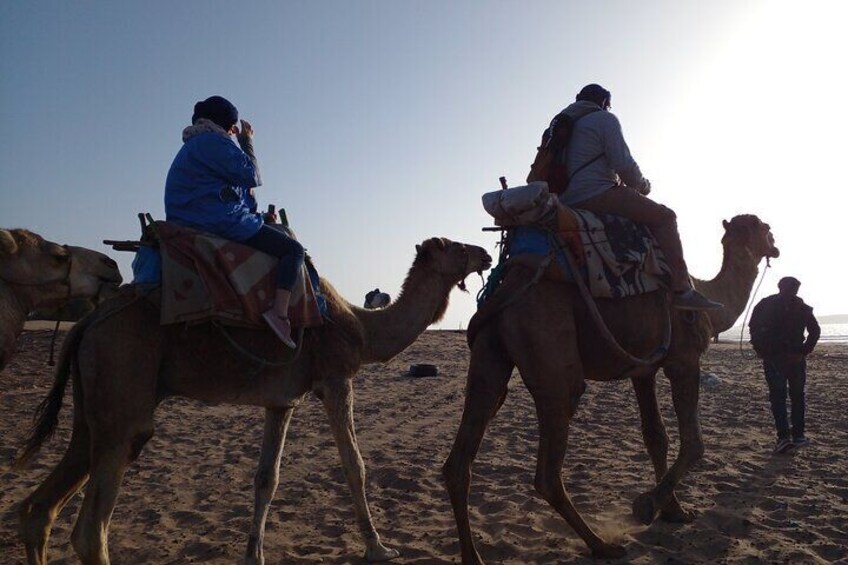 Excursion / 1H in Quad + 1H Camel ride on Essaouira beach