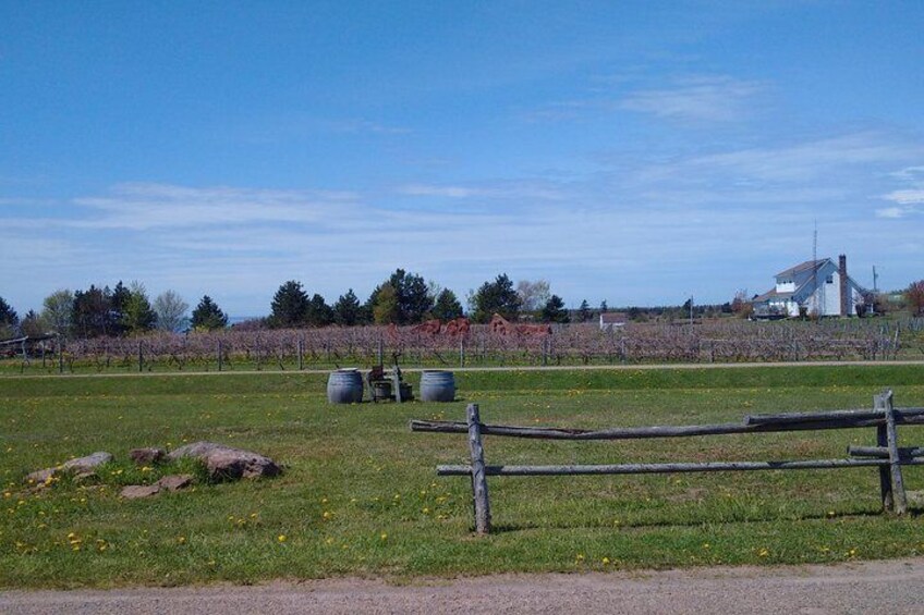 Central PEI Winery, Brewery, and Distillery Tasting Tour DE’ Force
