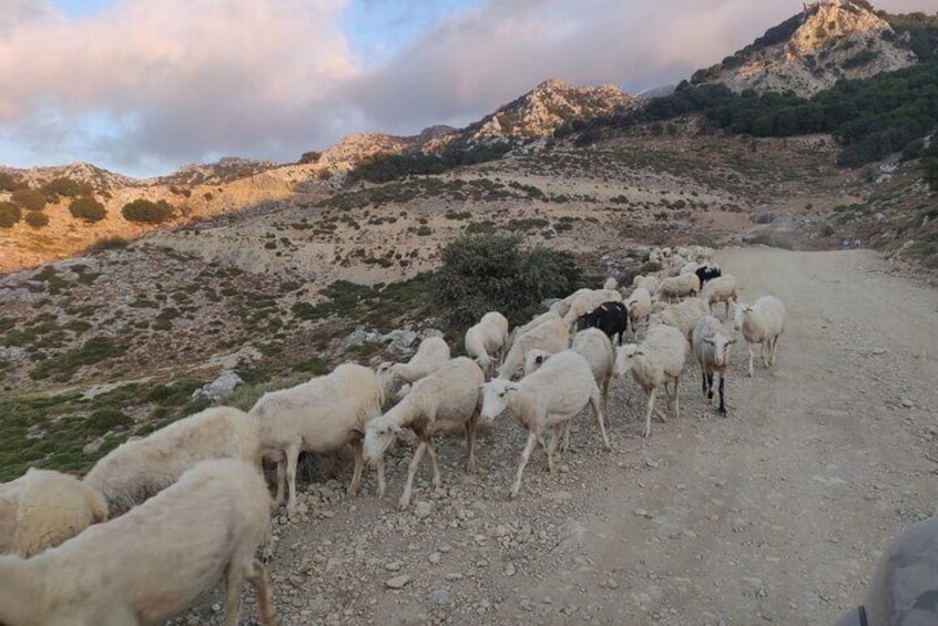 PRIVATE Jeep Safari 4x4 SUNSET with Dinner from Chersonissos