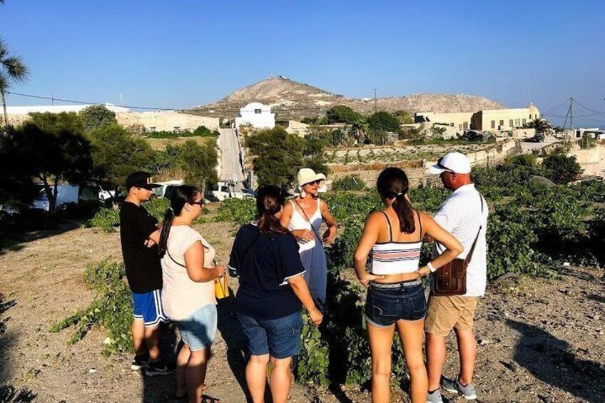 Half-Day Tour Traditional Santorini Food and Wine Experience