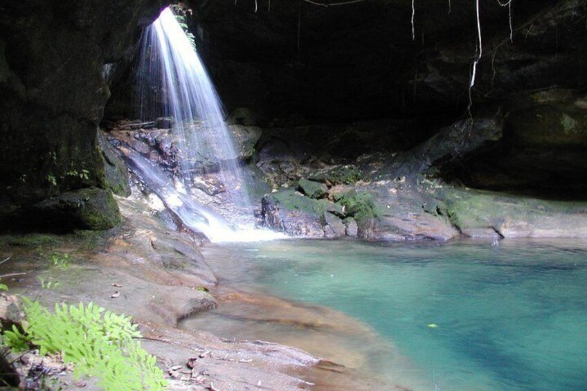 Natural Pool