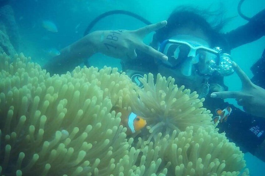 Scuba Diving at Havelock Islands