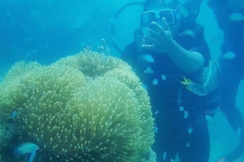 Scuba Diving at Havelock Islands