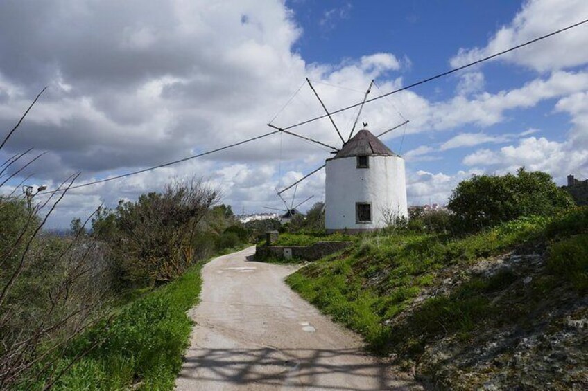 Show item 2 of 8. Walking hiking windmills