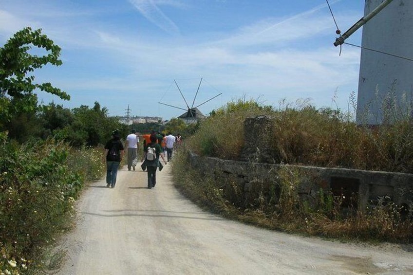 Show item 1 of 8. Walking hiking windmills