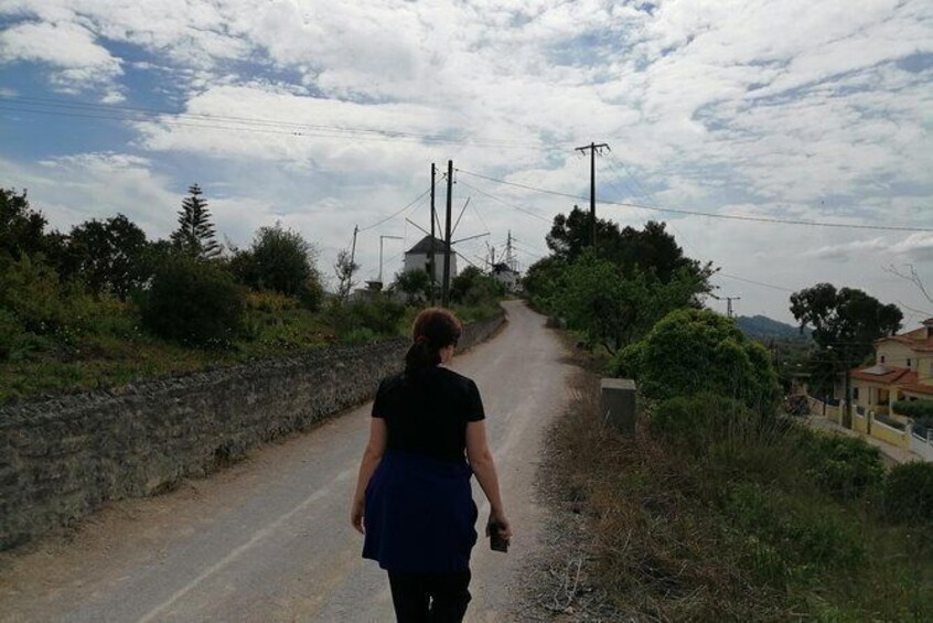Show item 4 of 8. Walking hiking windmills