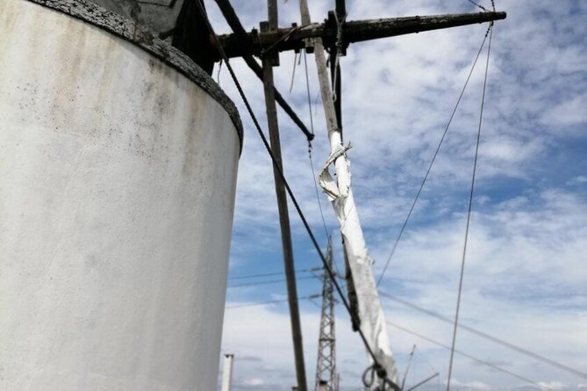 Show item 5 of 8. Walking hiking windmills