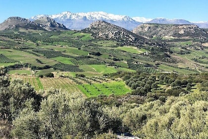 Voyage culinaire en Crète : olives, raki et délices du festin d'Archanes