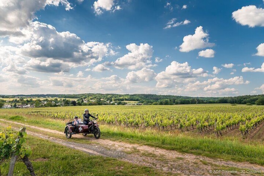 Half day tour on sidecar from Tours