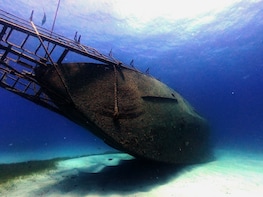 Discover Scuba Diving