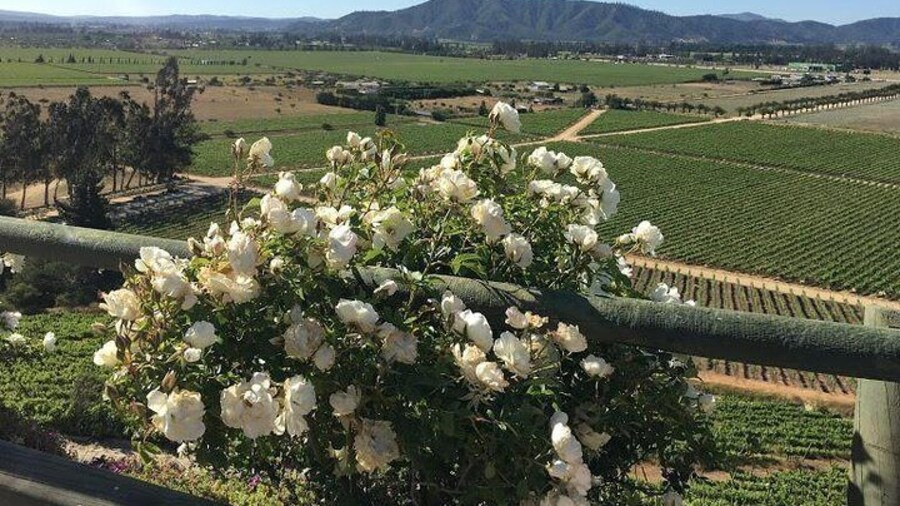 Valley of Casablanca