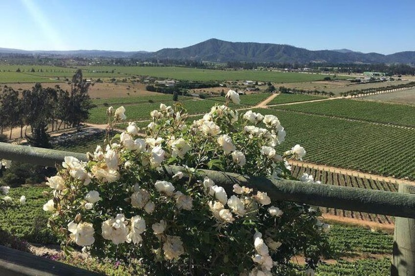 Valley of Casablanca